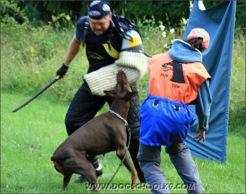 Summer training camp in Estonia 2007